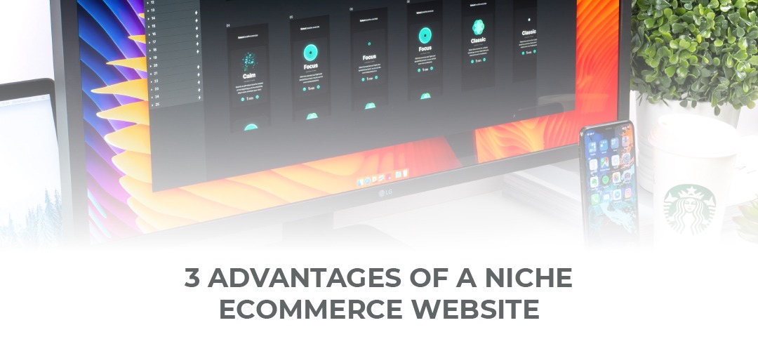 Advantages of a Niche Ecommerce Website