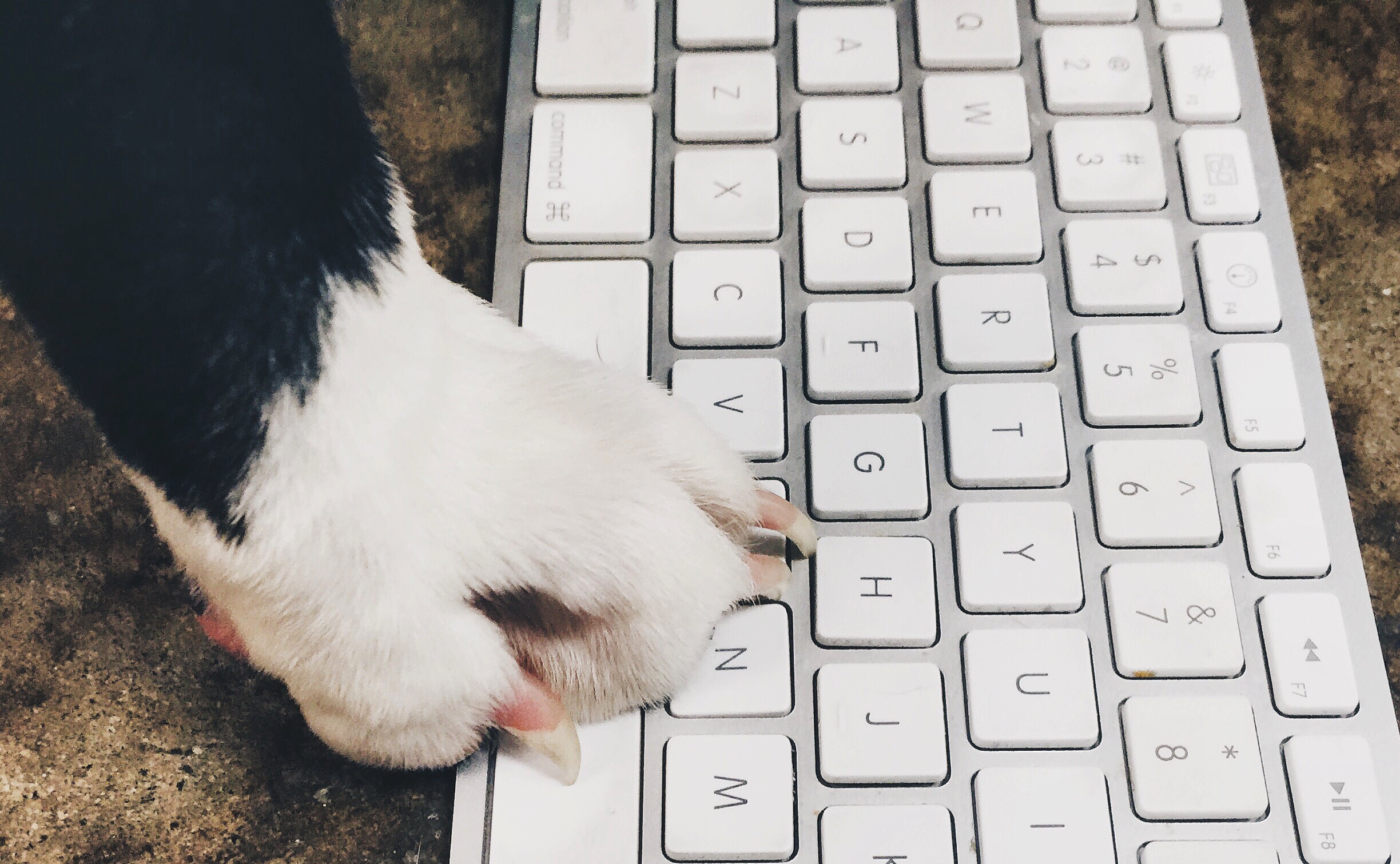 How to start marketing your new blog