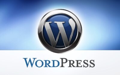 WordPress and Hosting- Your Best Options