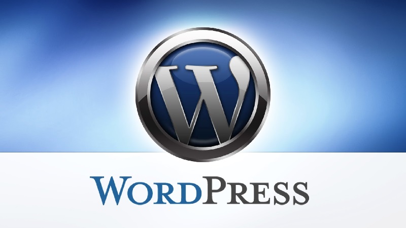 WordPress and Hosting- Your Best Options